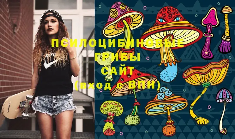 OMG онион  Макушино  Галлюциногенные грибы ЛСД  где продают  